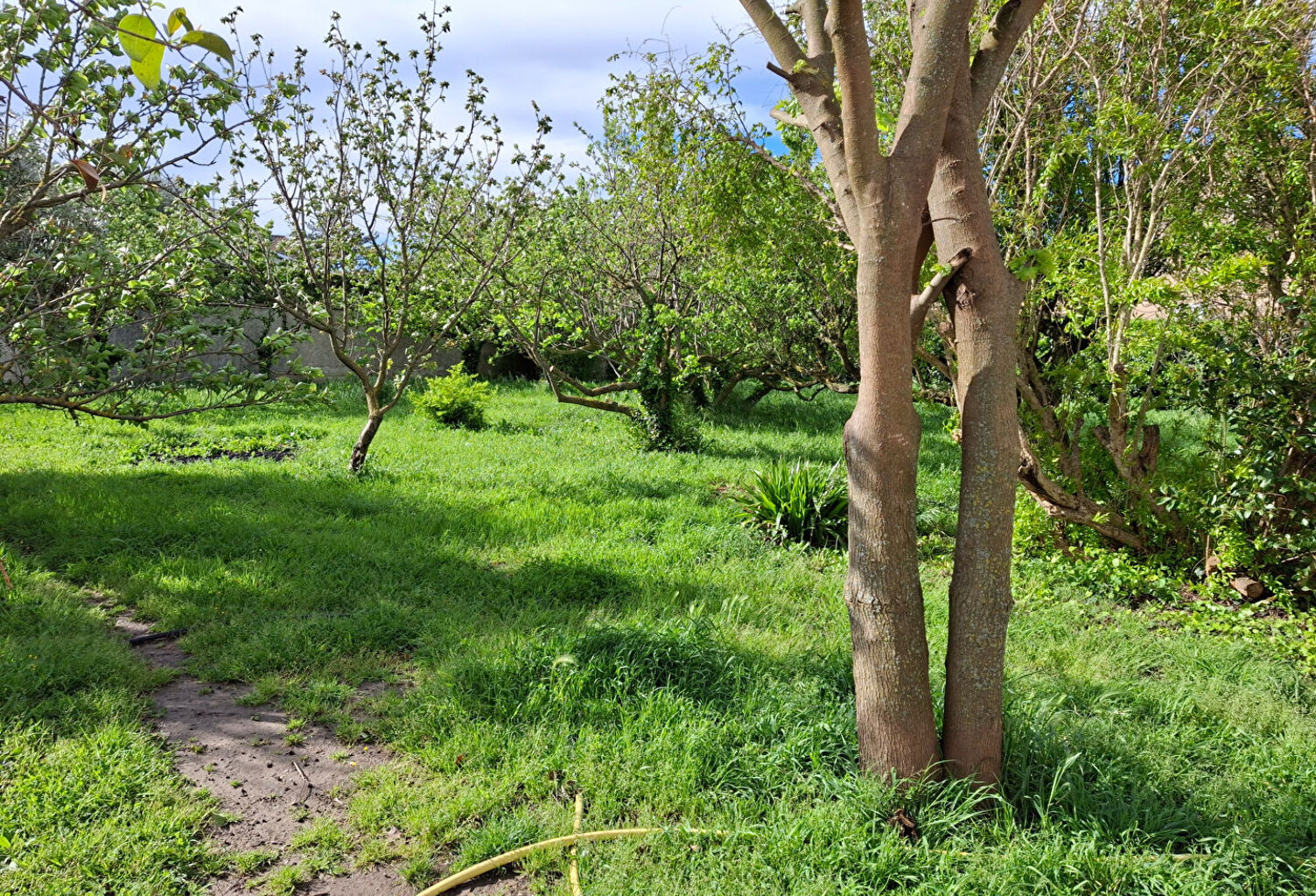 Terrain Entraigues Sur La Sorgue 575m2 — photo 1