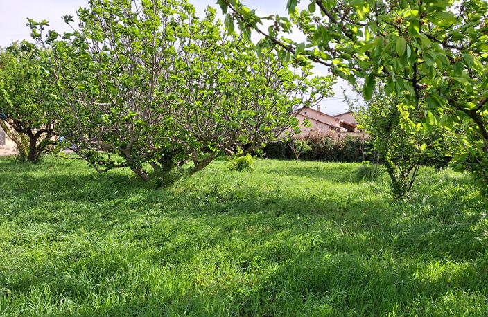 Terrain Entraigues Sur La Sorgue 575m2 — photo 2