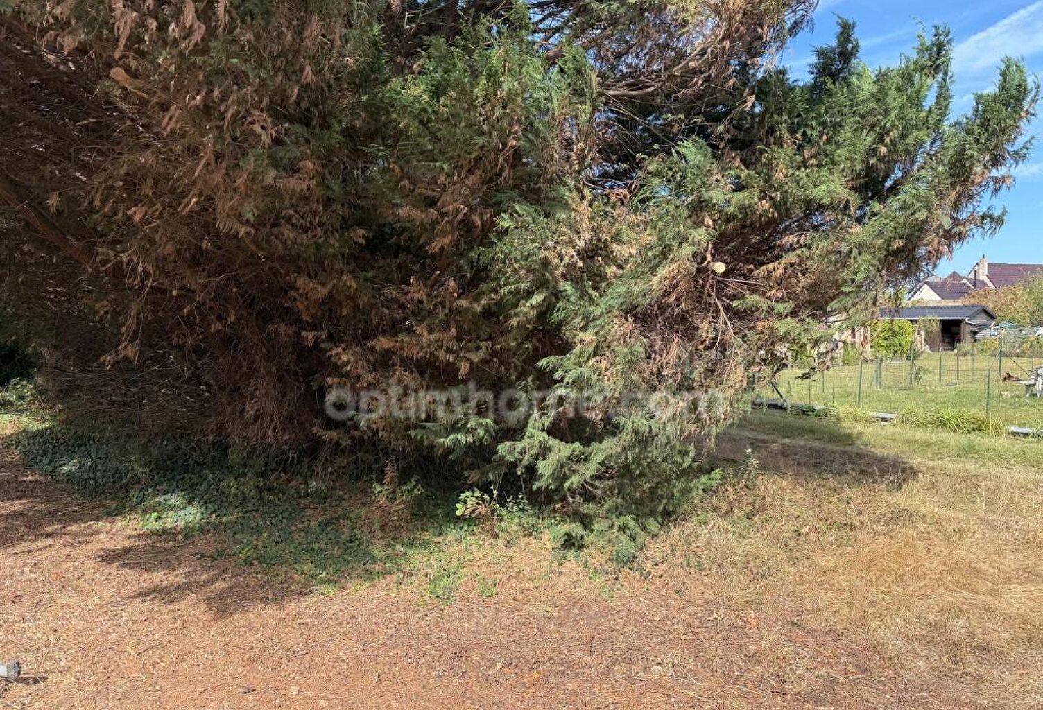 Terrain à vendre de 7 000,00 m² WARHEM (59) — photo 1