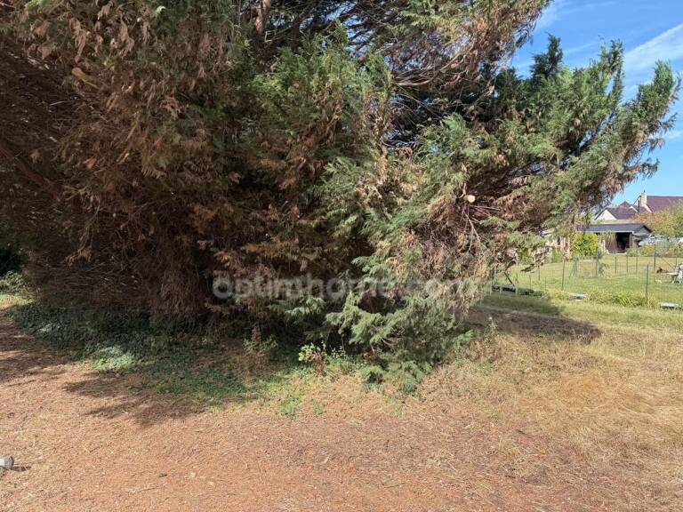 Terrain à vendre de 7 000,00 m² WARHEM (59) — photo 1