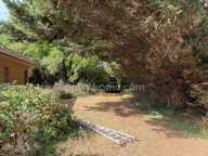 Terrain à vendre de 7 000,00 m² WARHEM (59) — photo 2