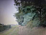 Terrain à vendre de 7 000,00 m² WARHEM (59) — photo 3