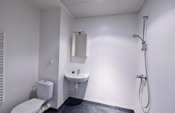 Appartement à vendre 1 pièces STRASBOURG (67) — photo 5