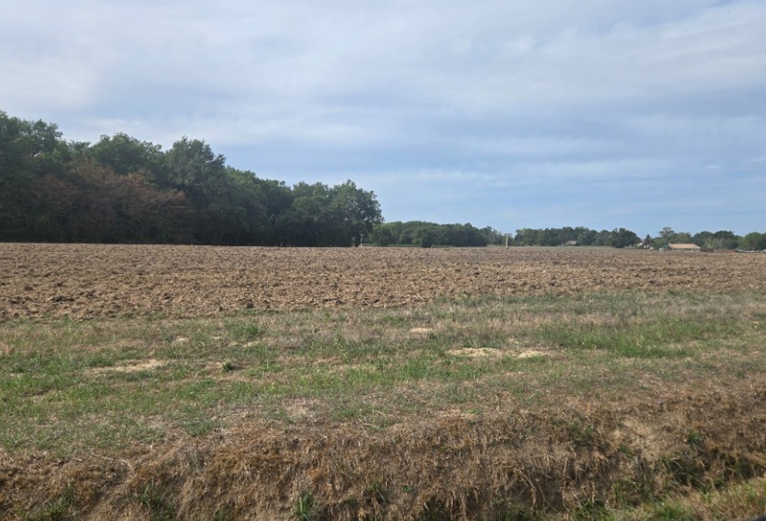 Terrain à bâtir à Reignac (33860) — photo 1