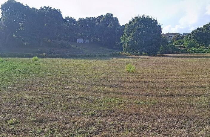 Terrain À Vendre — photo 3