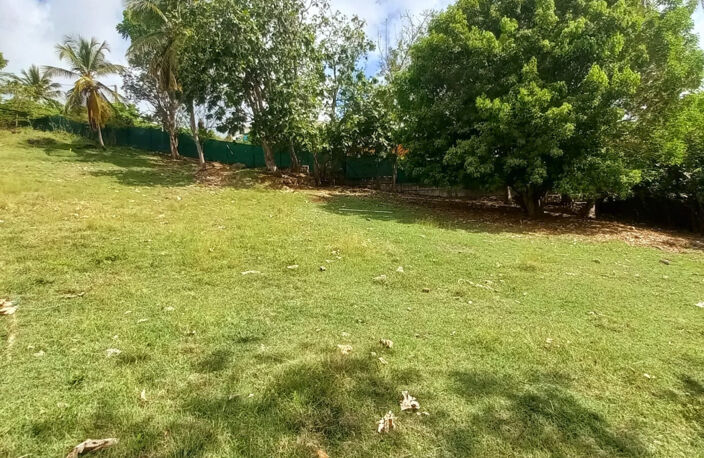 Terrain constructible à vendre DAMPIERRE LE GOSIER (971) — photo 2