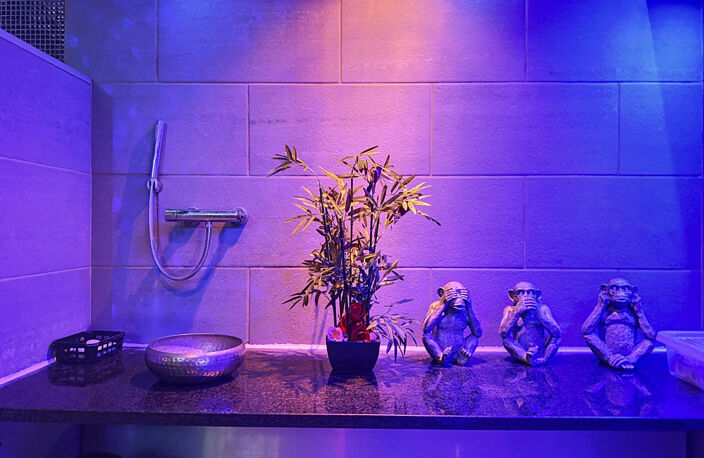 À VENDRE – INSTITUT-DANS LE SECTEUR DU BIEN-ÊTRE ET DE L’ESTHÉTIQUE-SAUNA-HAMMAM-BABY SAUNA- FAMILIAL — photo 5