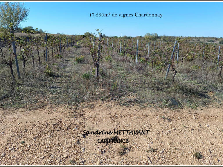 Terrain viticole à vendre  SAINT THIBERY (34) — photo 1