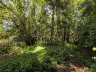 À VENDRE – SUPERBE TERRAIN CONSTRUCTIBLE DE 2 000 m² À QUIESTÈDE 🌳(62) — photo 3