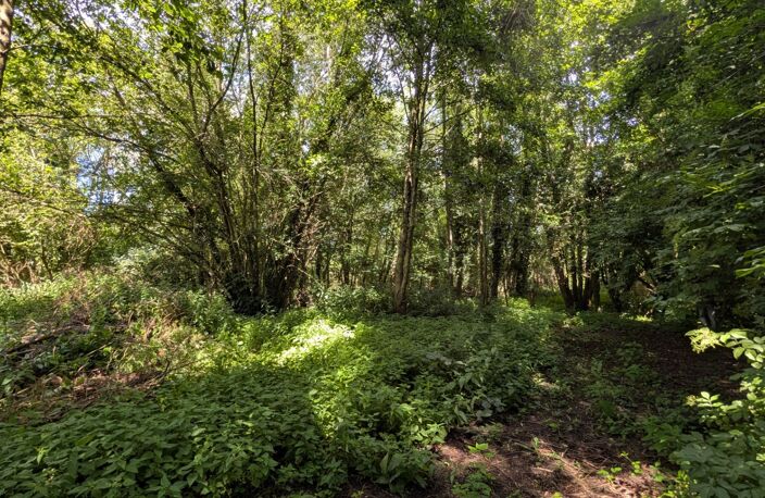 À VENDRE – SUPERBE TERRAIN CONSTRUCTIBLE DE 2 000 m² À QUIESTÈDE 🌳(62) — photo 3