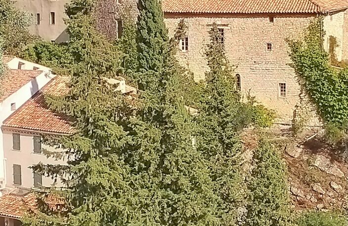 Domaine d'exception artistique  à vendre 10 pièces  625 m2 terrain 1HA200 SEILLANS (83) — photo 2