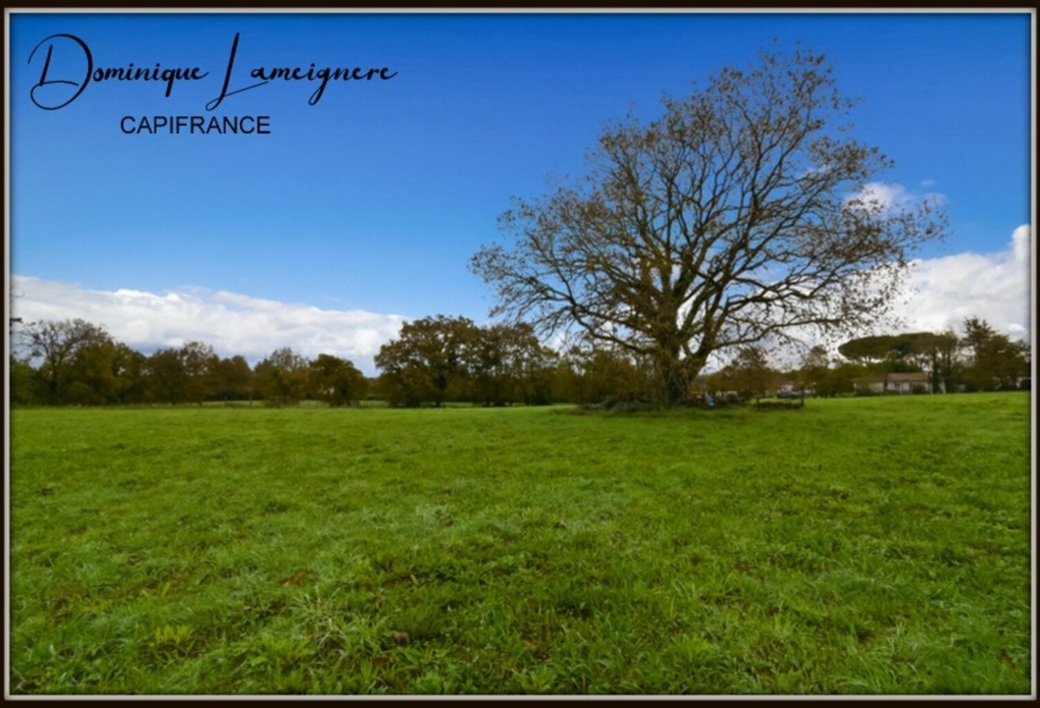 PROCHE PEYREHORADE ( Commune de Saint Cricq du Gave ) - TERRAIN A BATIR - 1156 m2 — photo 1