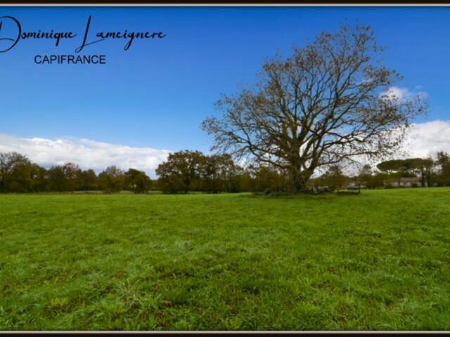 PROCHE PEYREHORADE ( Commune de Saint Cricq du Gave ) - TERRAIN A BATIR - 1156 m2 — photo du bien