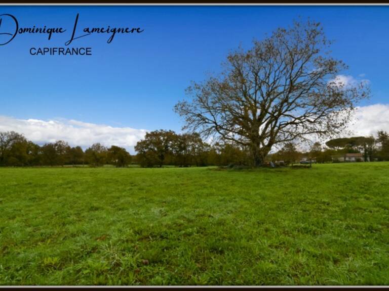 PROCHE PEYREHORADE ( Commune de Saint Cricq du Gave ) - TERRAIN A BATIR - 1156 m2 — photo 1