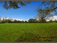 PROCHE PEYREHORADE ( Commune de Saint Cricq du Gave ) - TERRAIN A BATIR - 1156 m2 — photo 4