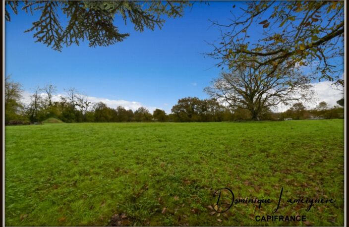 PROCHE PEYREHORADE ( Commune de Saint Cricq du Gave ) - TERRAIN A BATIR - 1156 m2 — photo 4