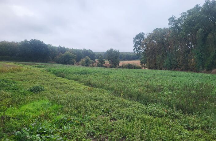 FERME à vendre THENEZAY (79) — photo 3