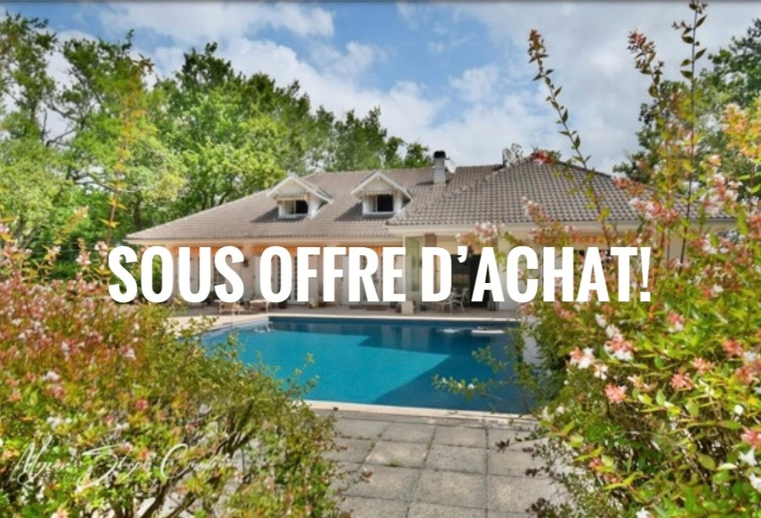 Propriete à vendre 8 pièces  de 350 m² environ à MIMIZAN (40) avec lac privatif, cadre exceptionnel — photo 1