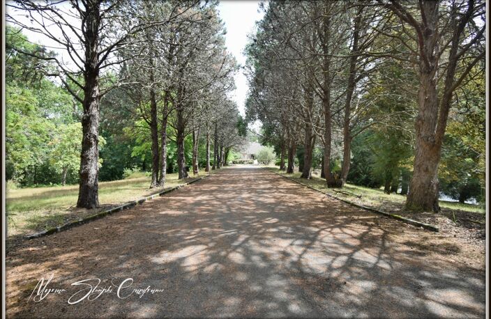Propriete à vendre 8 pièces  de 350 m² environ à MIMIZAN (40) avec lac privatif, cadre exceptionnel — photo 2