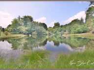 Propriete à vendre 8 pièces  de 350 m² environ à MIMIZAN (40) avec lac privatif, cadre exceptionnel — photo 3
