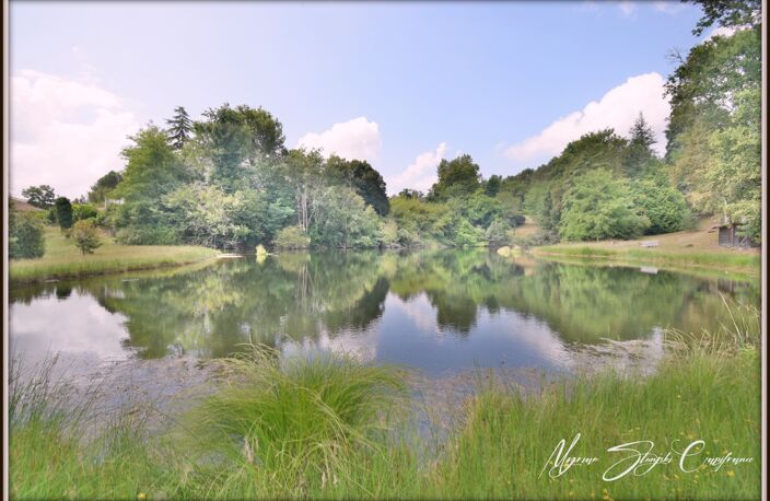 Propriete à vendre 8 pièces  de 350 m² environ à MIMIZAN (40) avec lac privatif, cadre exceptionnel — photo 3