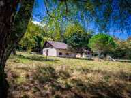 Maison à vendre 2 pièces AUBERTIN (64) ; Grange et 1,8Ha de terrain — photo 4