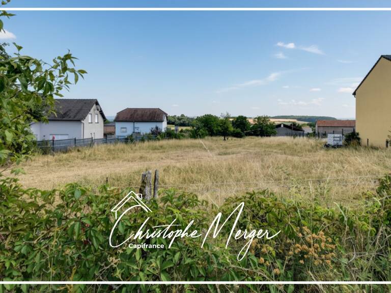 Terrain constructible à vendre 1 620 m² à Lorquin (57), non viabilisé, borné — photo 1