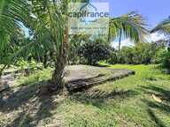 TERRAIN 1 270 M² AVEC PERMIS DE CONSTRUIRE POUR 2 MAISONS ! (974) SAINTE-ANNE — photo 4