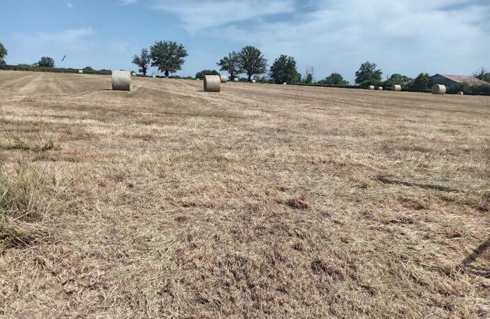 Cette propriété est idéale pour ceux qui recherchent de belles parcelles de terre pour eux mêmes ou pour leurs chevaux ou brebis — photo 3