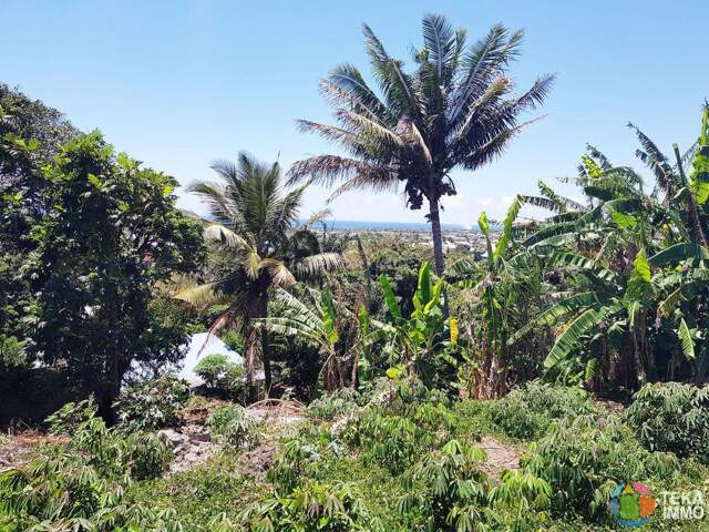 Terrain constructible de 548 m² – Sainte-Suzanne, Quartier Français – 145 000 € — photo du bien