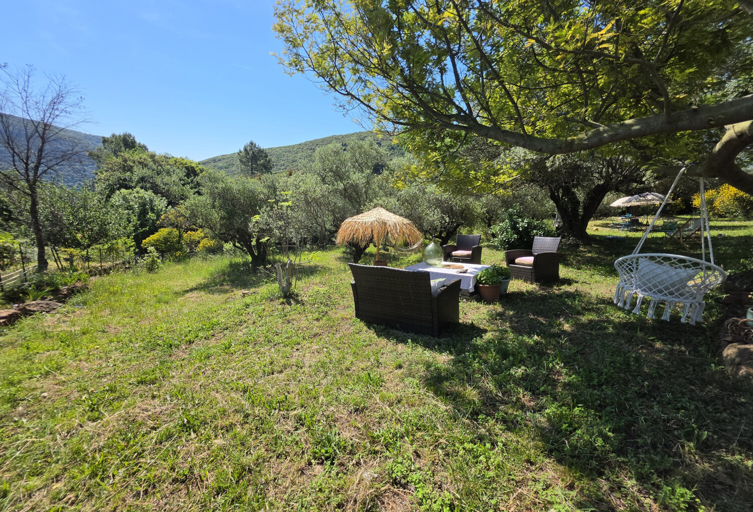 Dépt Hérault (34) - Olmet et Villecun - À vendre - Maison T4 — photo 1