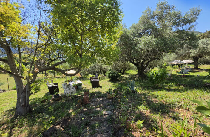 Dépt Hérault (34) - Olmet et Villecun - À vendre - Maison T4 — photo 3