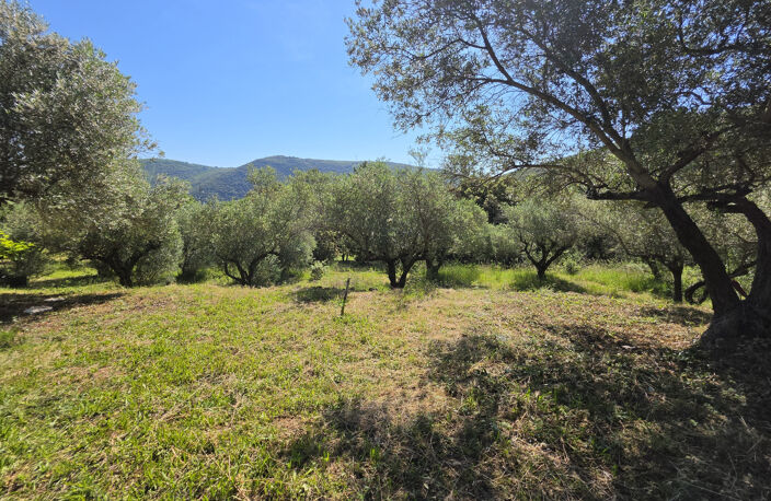 Dépt Hérault (34) - Olmet et Villecun - À vendre - Maison T4 — photo 4