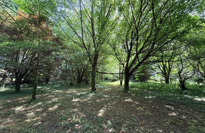 ST CHRISTOLY MAISON PIERRE SUR 5700 m2 — photo 3