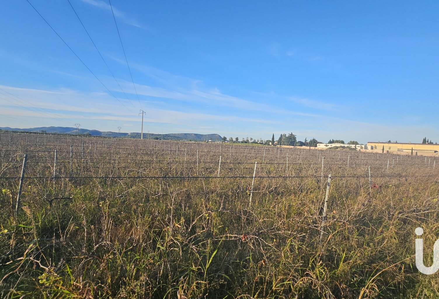 Vente Terrain agricole 9 795 m&sup2; — photo 1