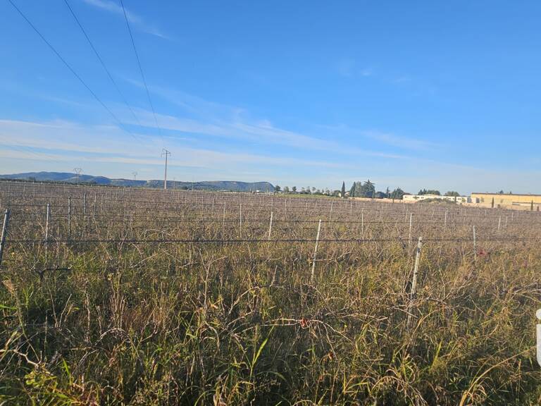Vente Terrain agricole 9 795 m&sup2; — photo 1