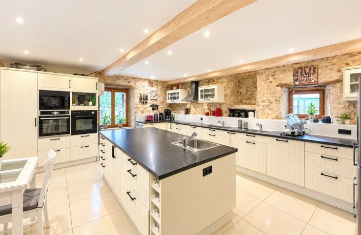 Vente maison 11 pièces 400 m² Trept (38460) — photo 5