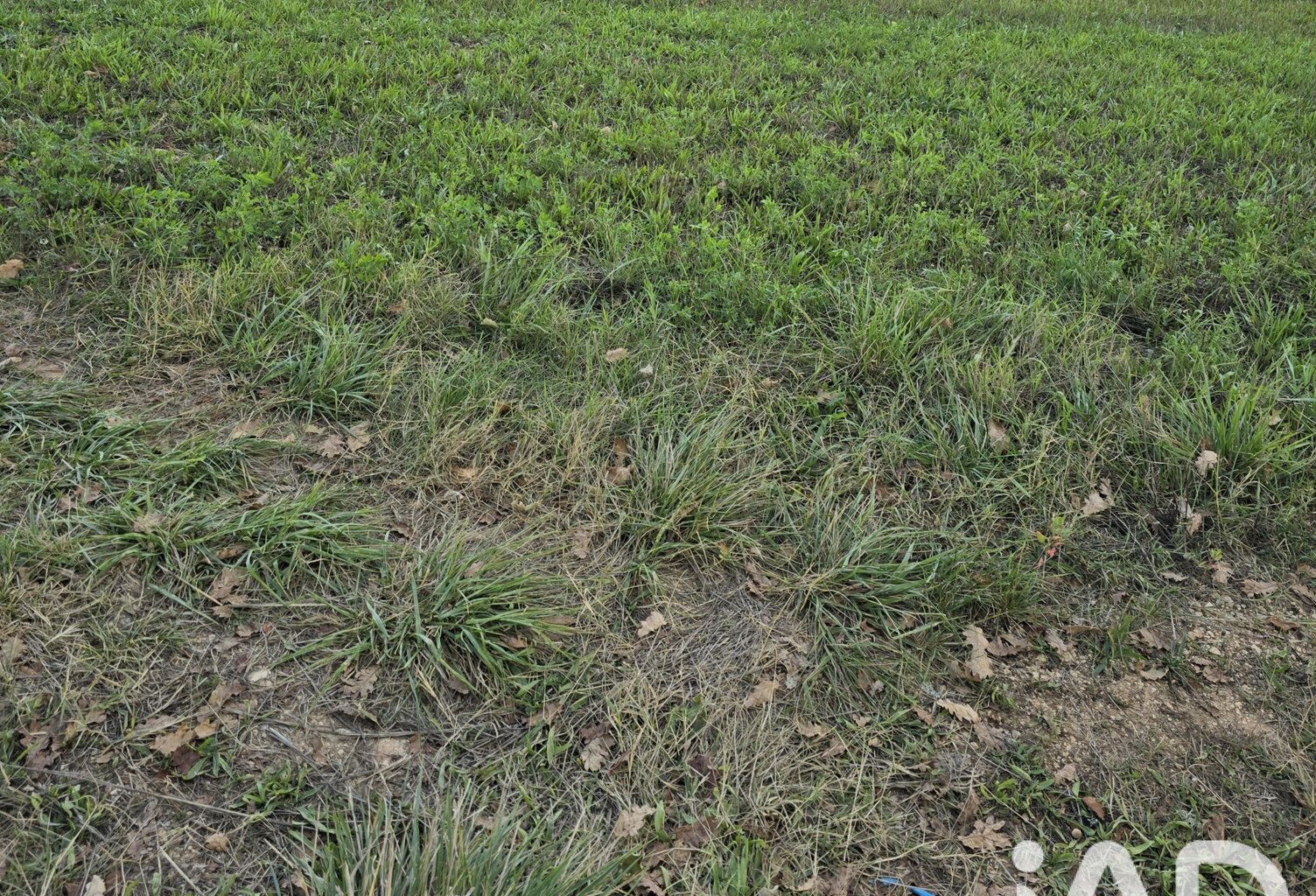 Vente Terrain à bâtir 1 348 m&sup2; — photo 1