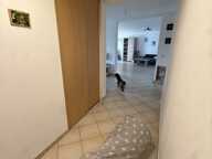 Vente Immeuble 361 m&sup2; — photo 2