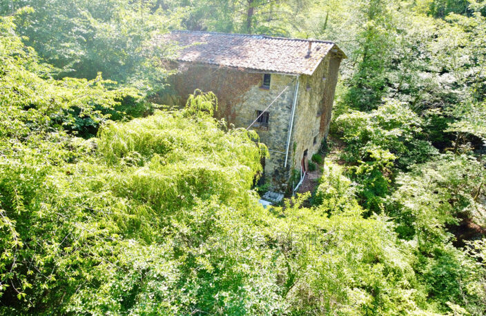 vente maison 4 Pièce(s) — photo 3