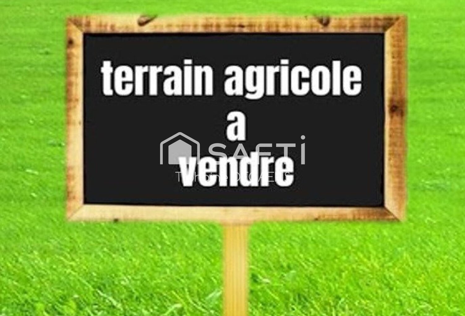 terre agricole — photo 1