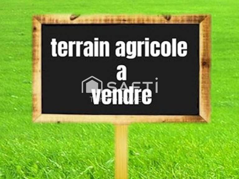terre agricole — photo 1