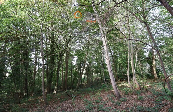 ENVIRONNEMENT PRIVILÉGIÉ  BEAU POTENTIEL — photo 3