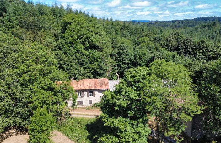 habitation et dépendances sur 6 hectares — photo 4