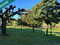 Immeuble avec 1 local commercial, un T5-T6 + un studio et un beau terrain — photo 2