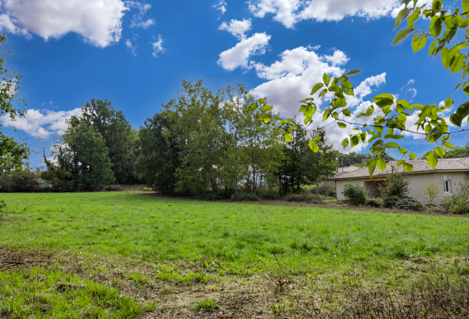 Terrain — photo 1