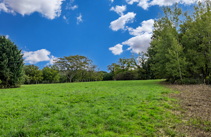 Terrain — photo 2