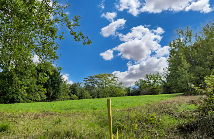 Terrain — photo 3