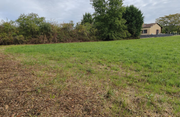 Terrain — photo 4