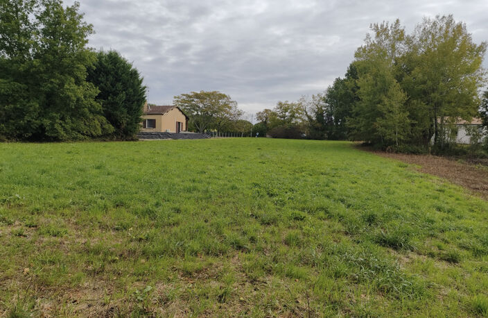 Terrain — photo 5